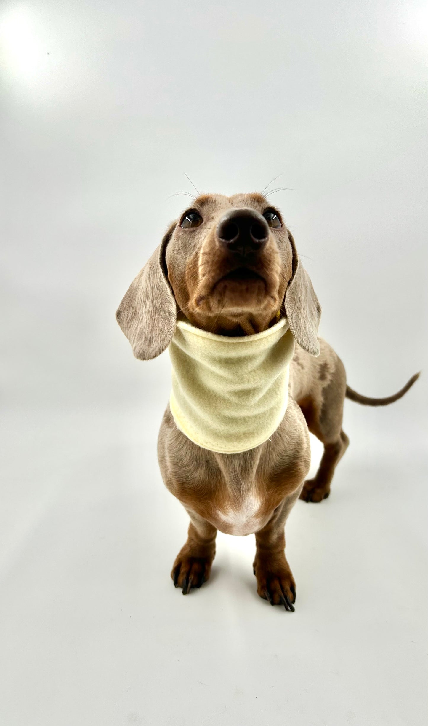 Fleece Snoods