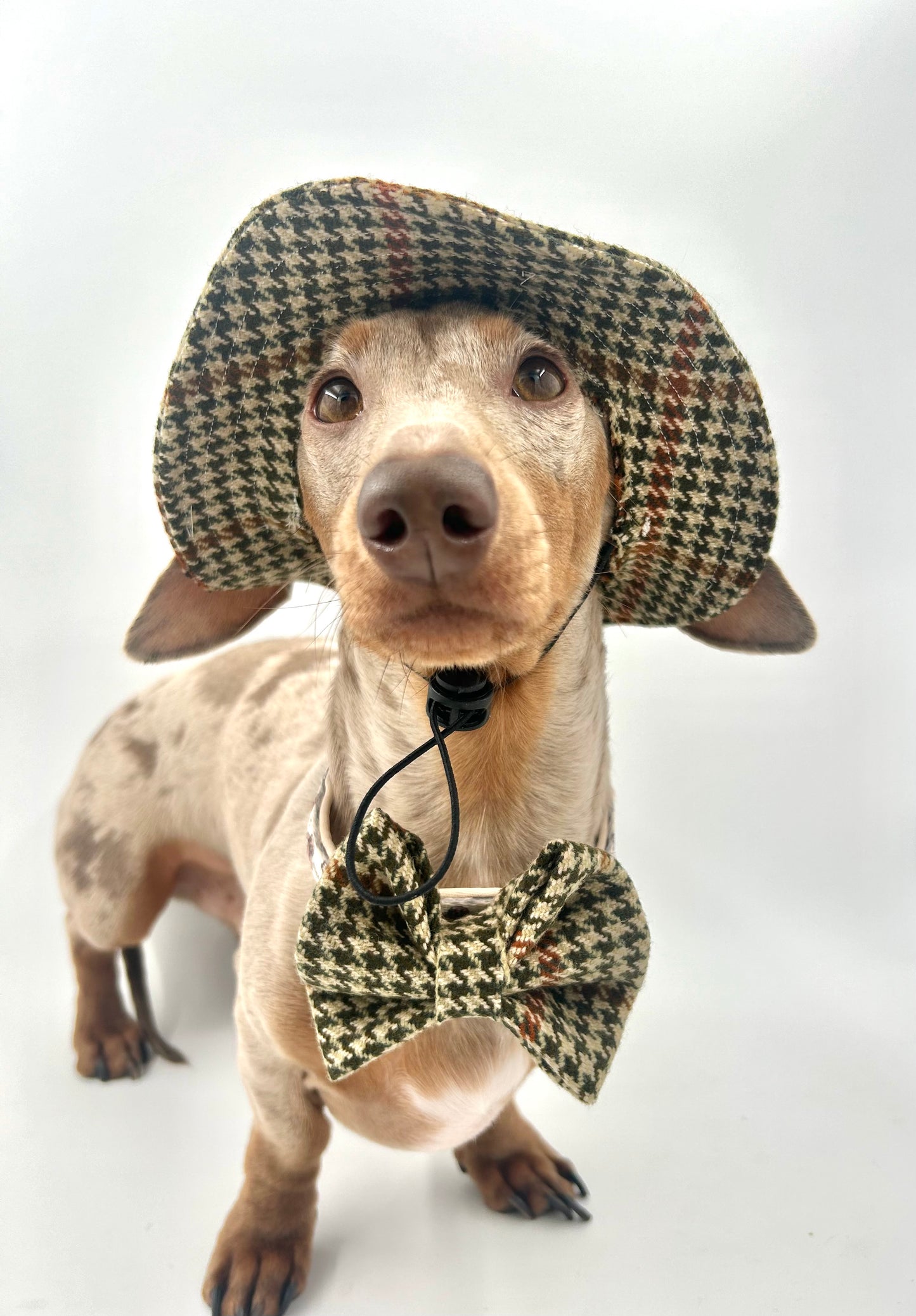 Deerstalker Bow Set