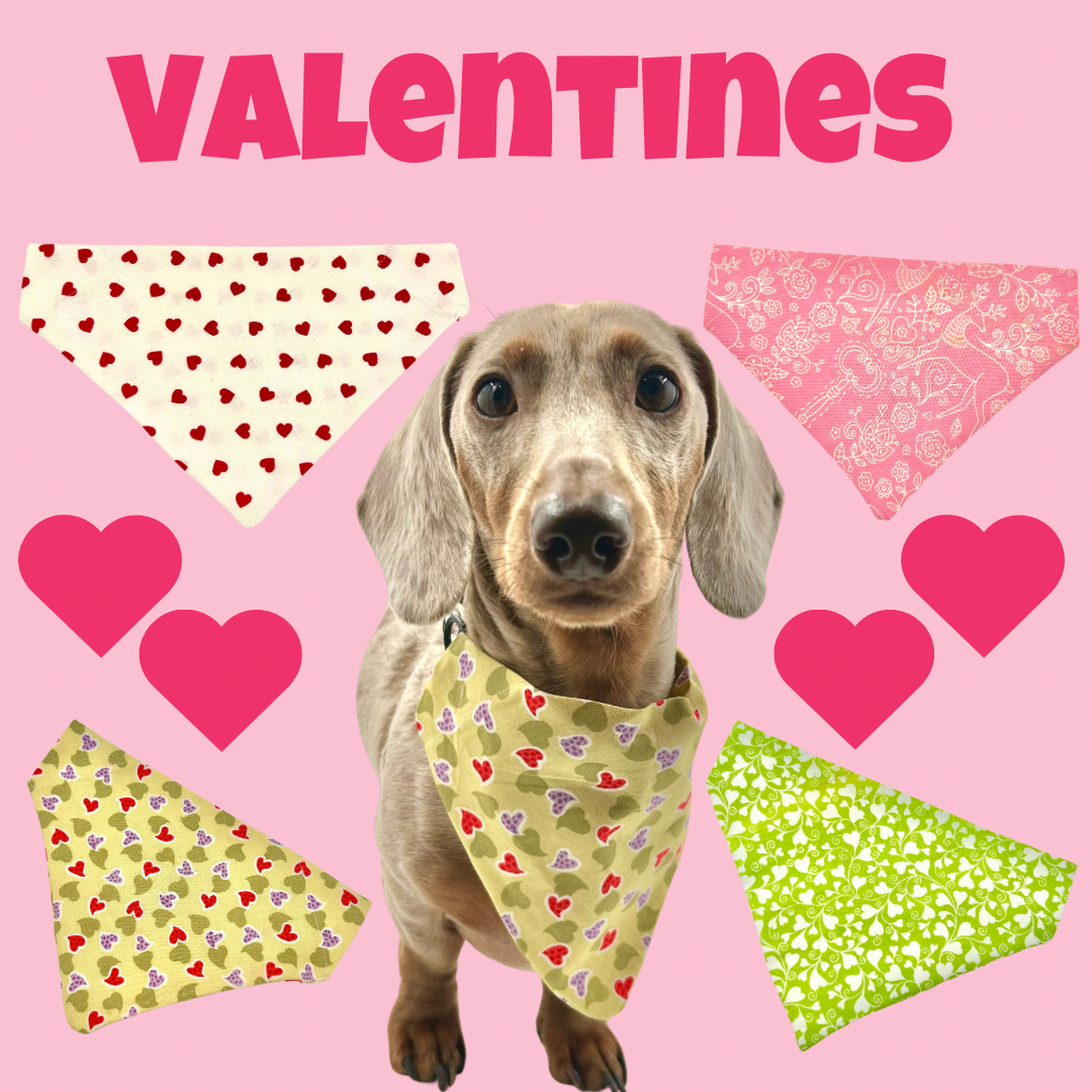 Valentines Bandana