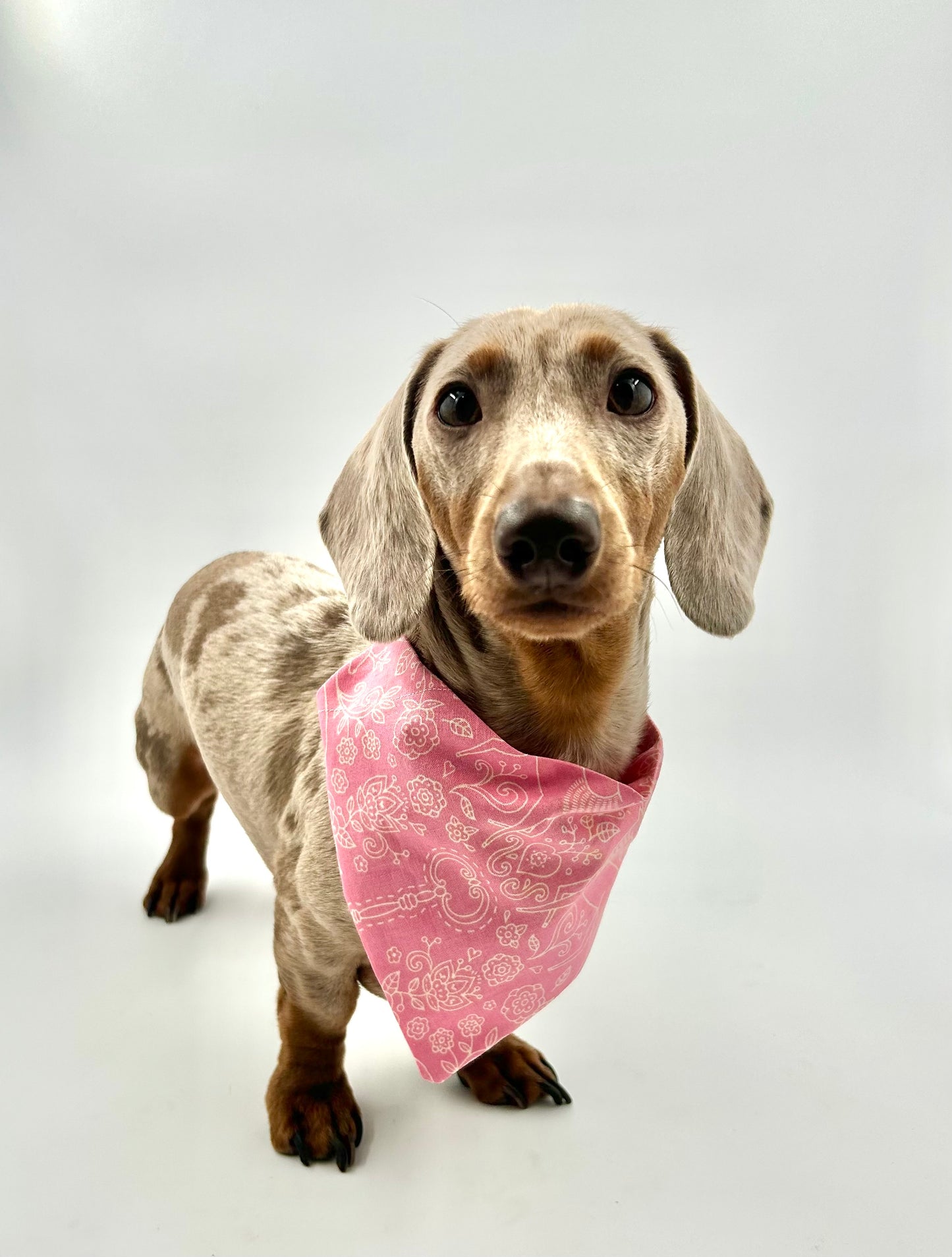 Valentines Bandana