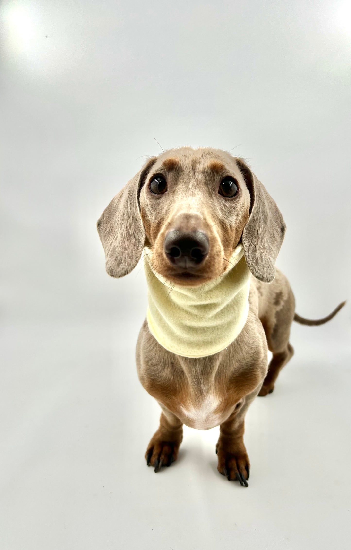 Fleece Snoods