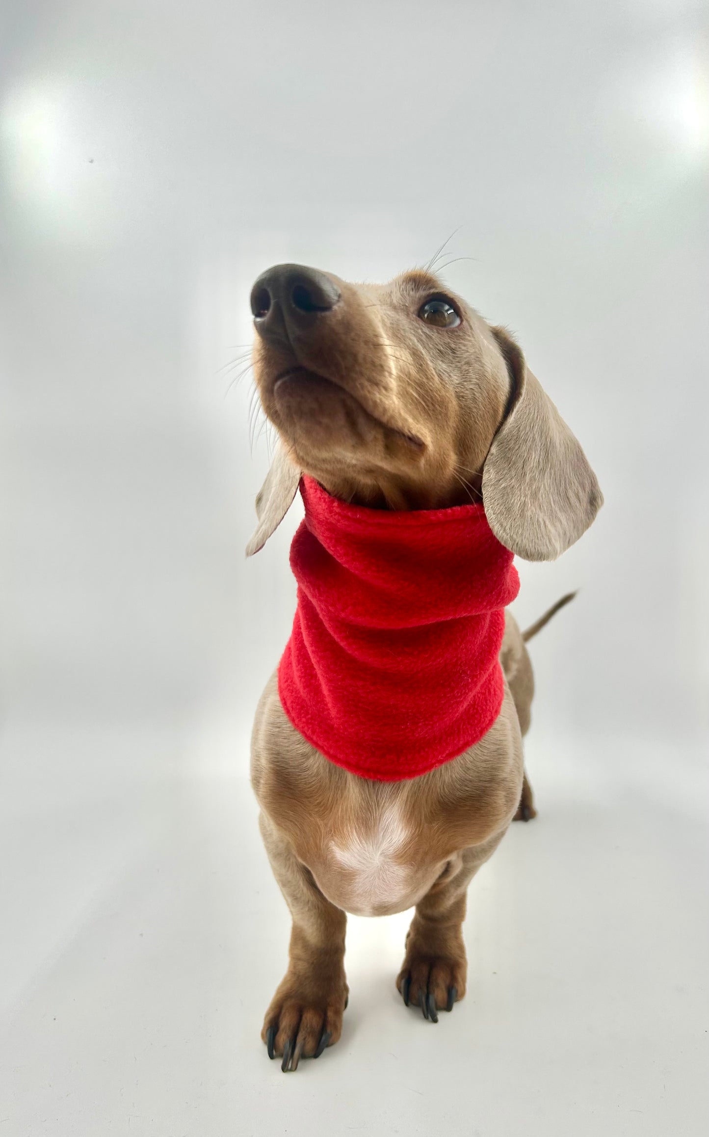 Fleece Snoods