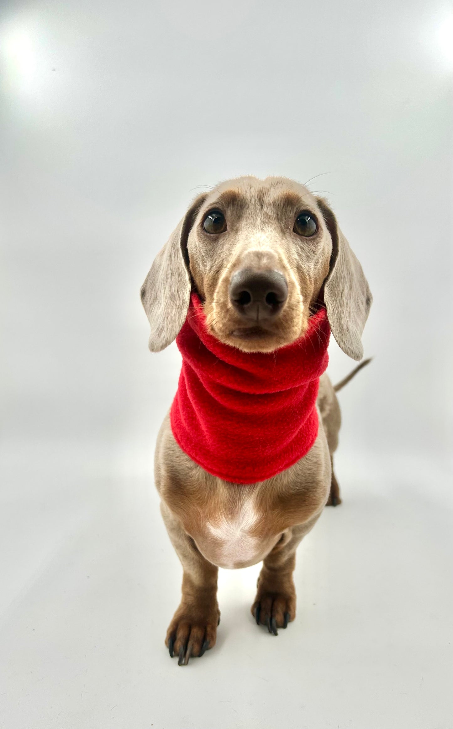 Fleece Snoods