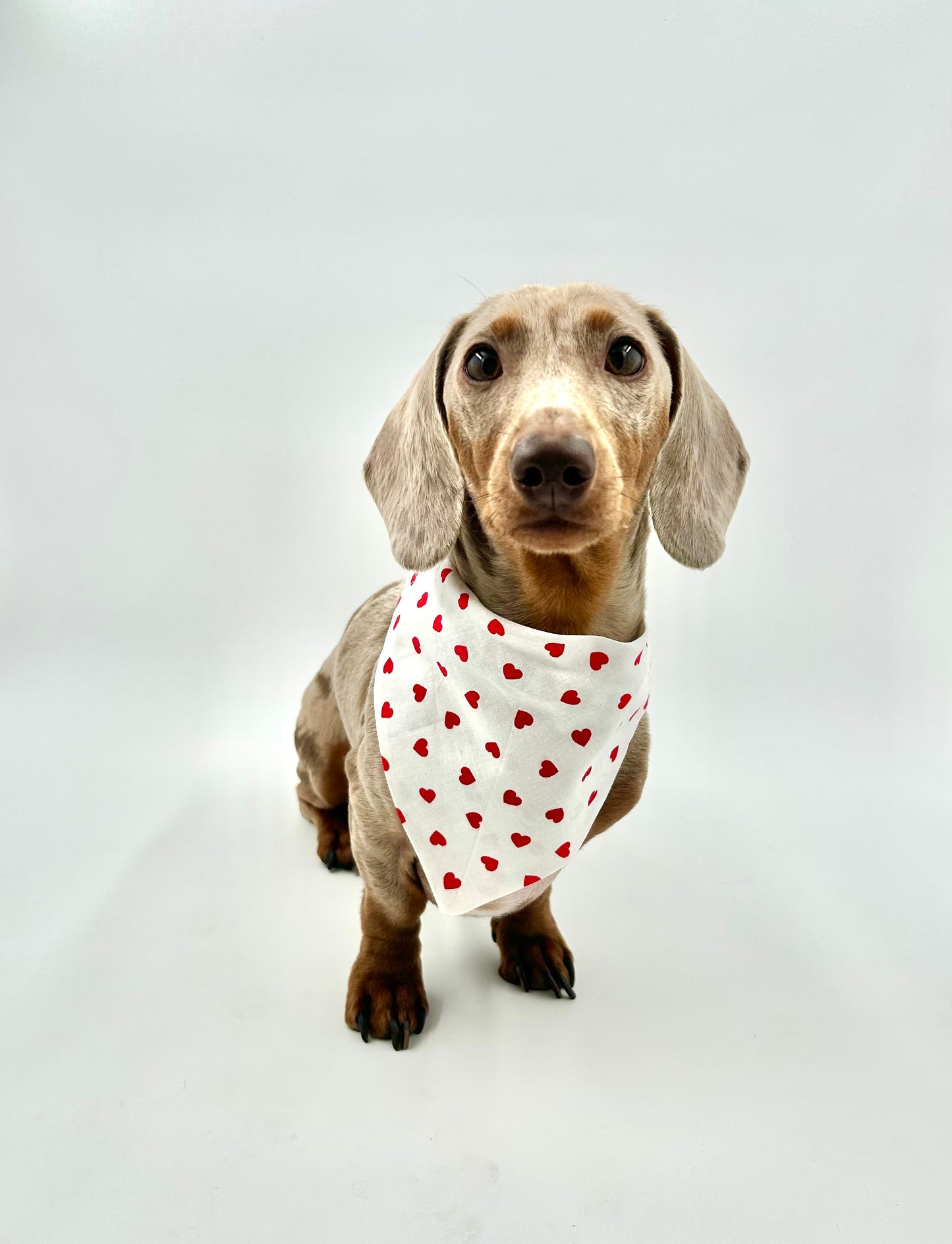 Valentines Bandana