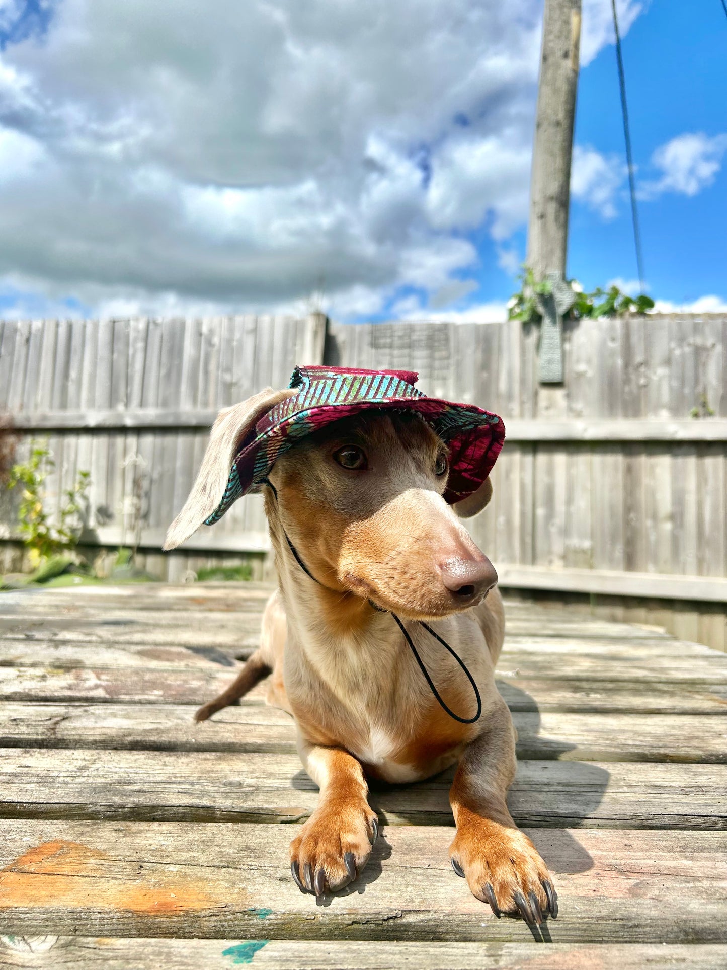 Leafy Oasis Sunhat