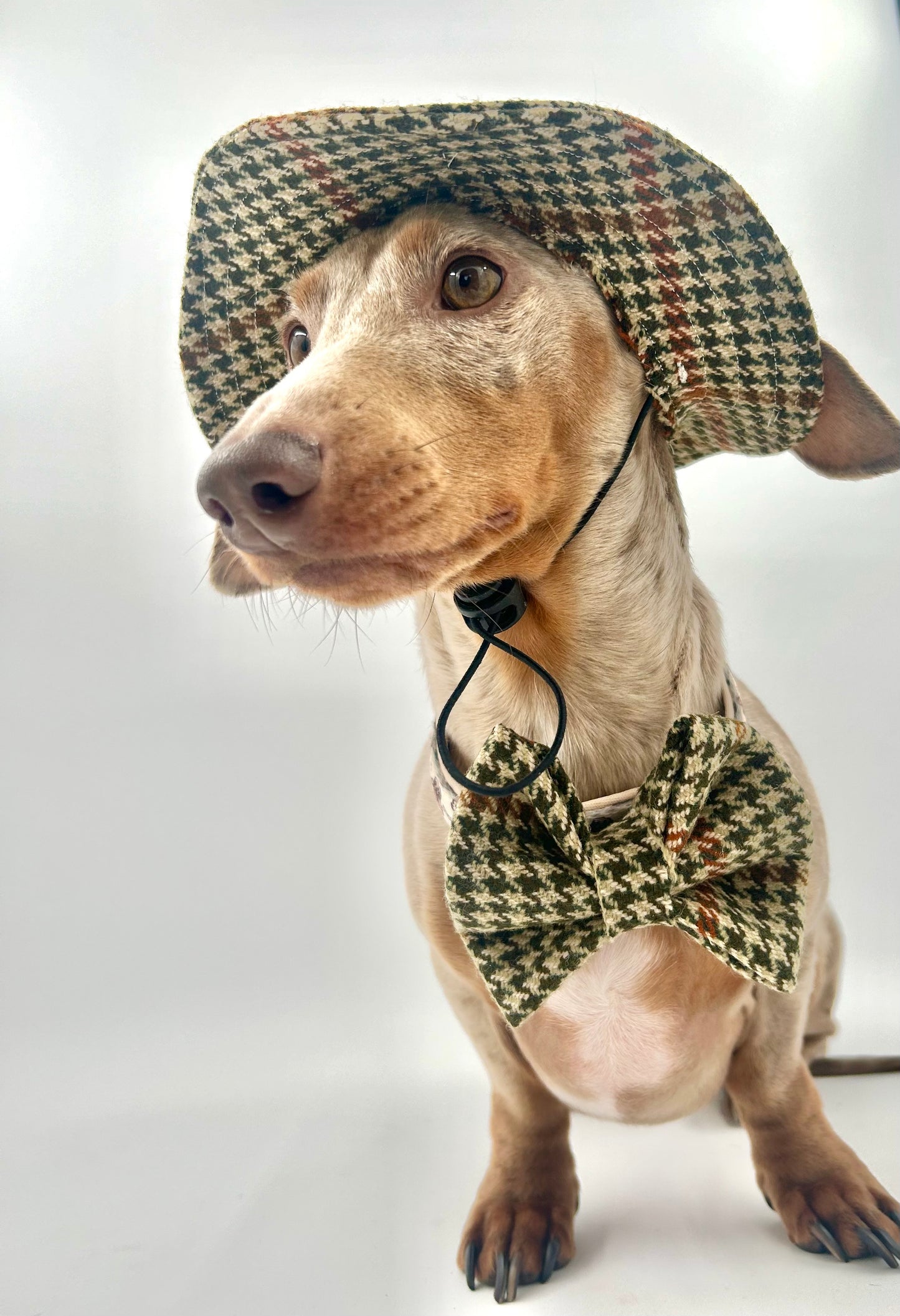 Deerstalker Bow Set