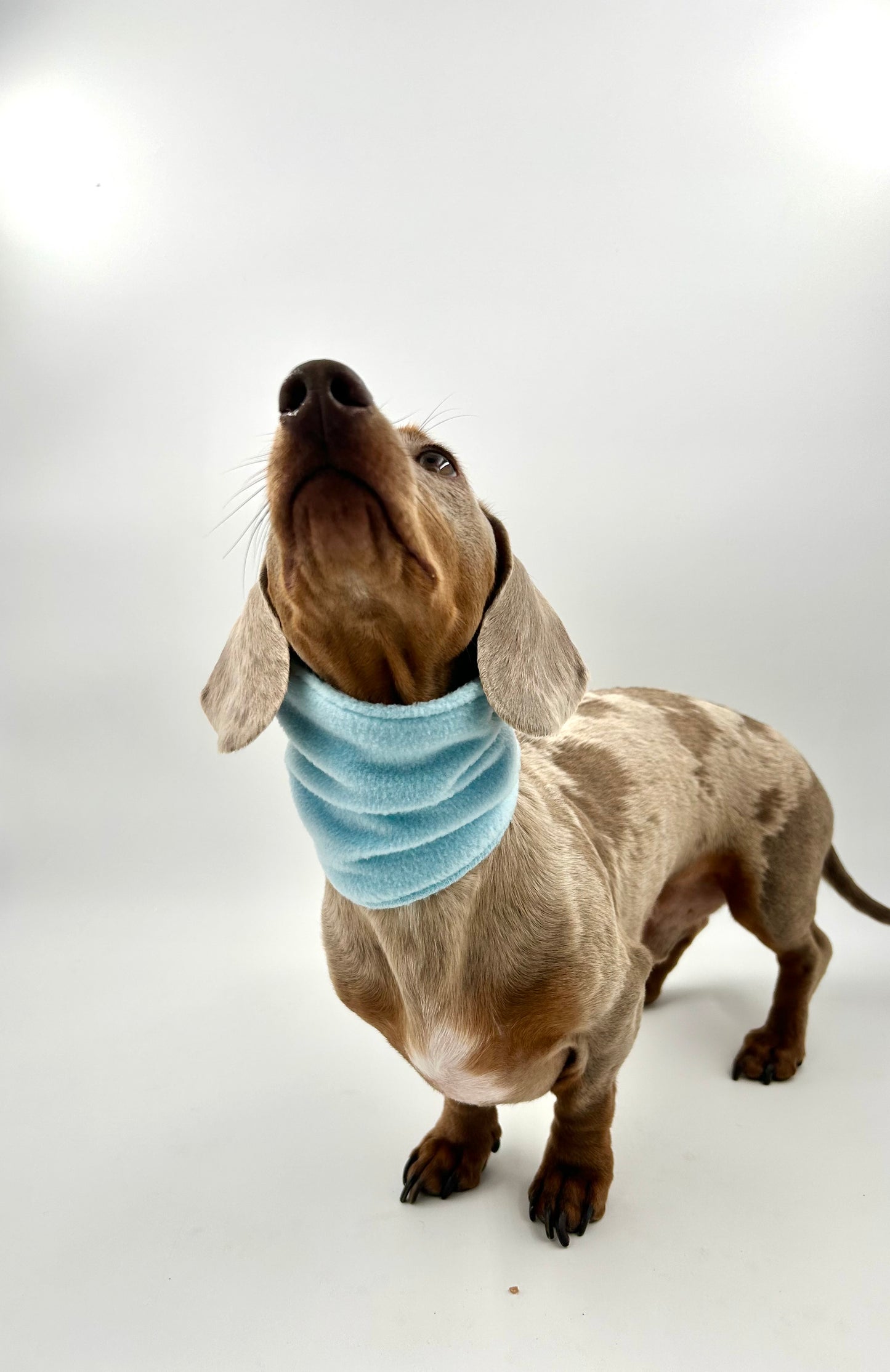 Fleece Snoods