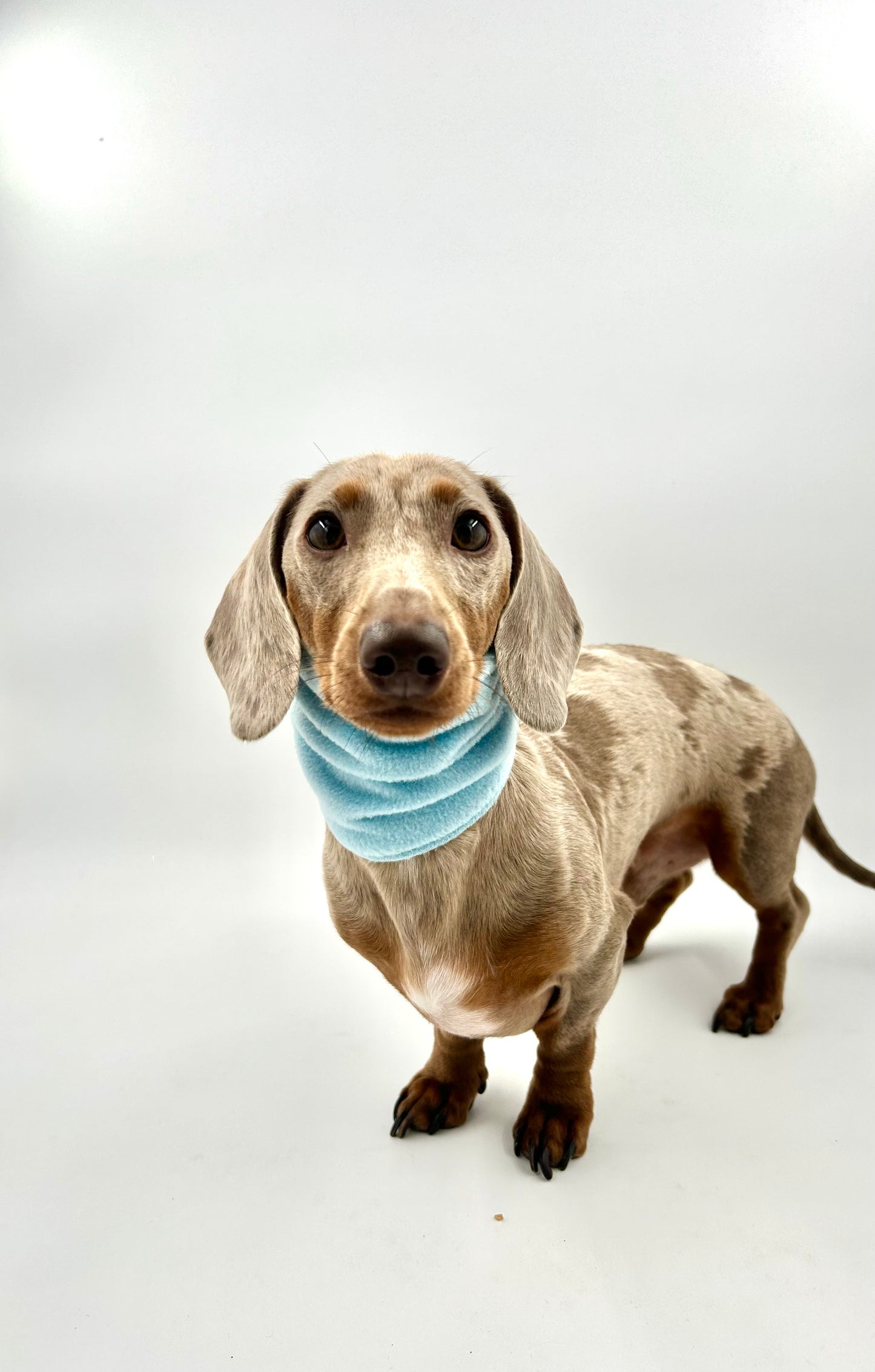 Fleece Snoods