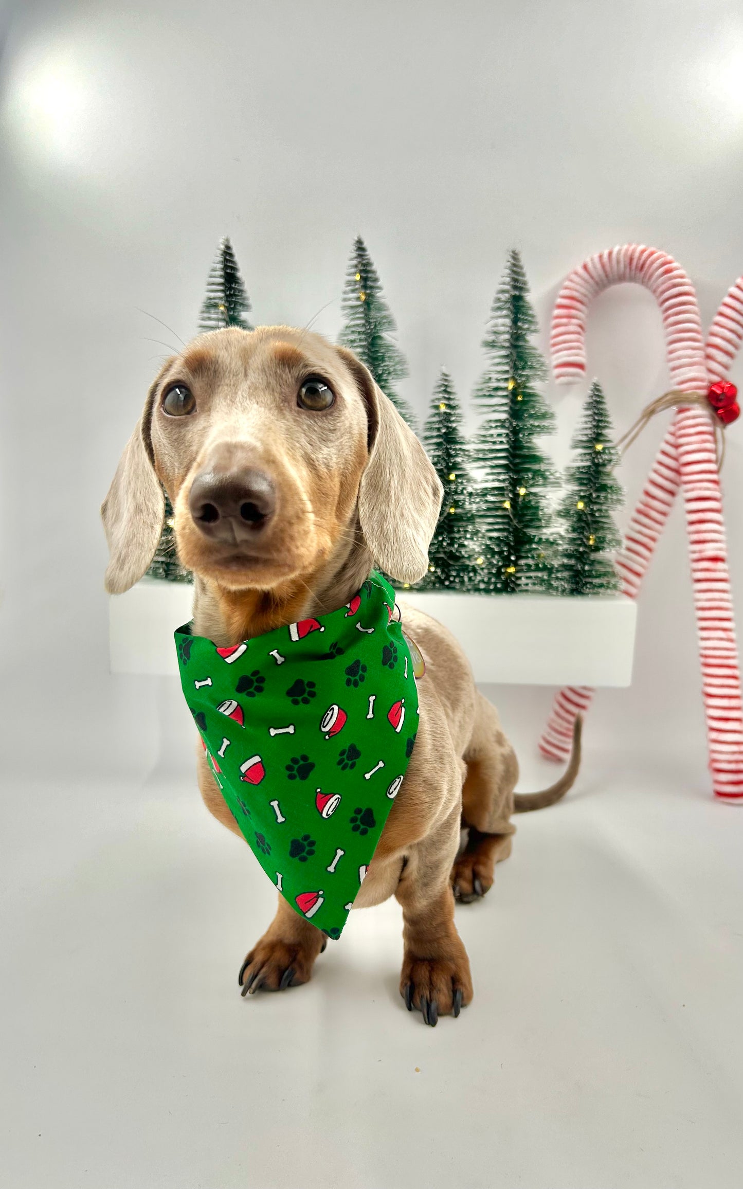 Christmas Bandanas