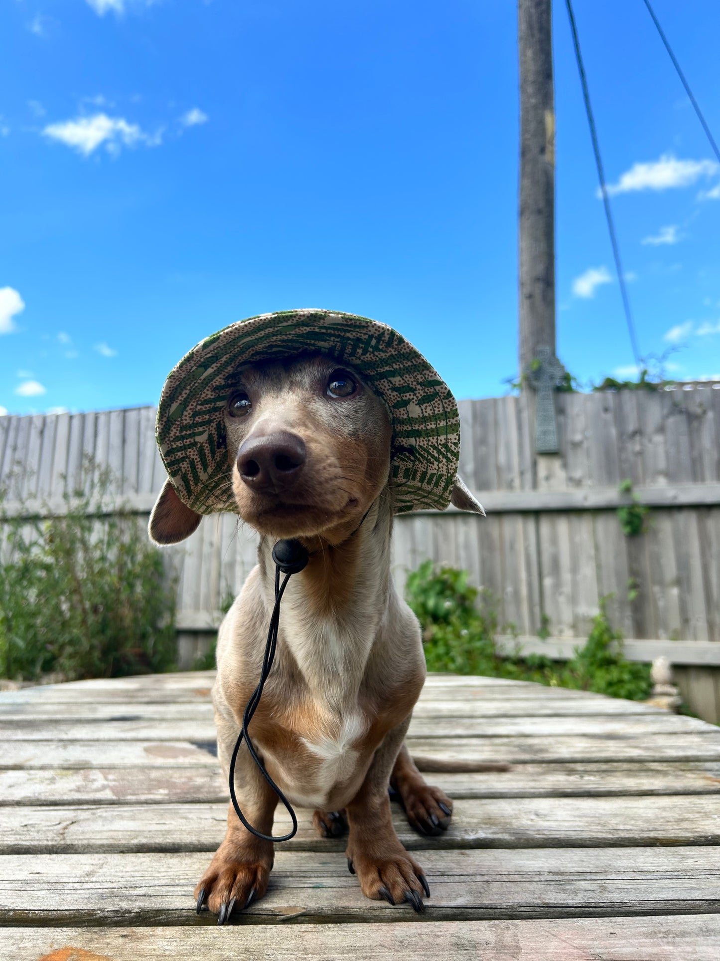 Jungle Party Sunhat