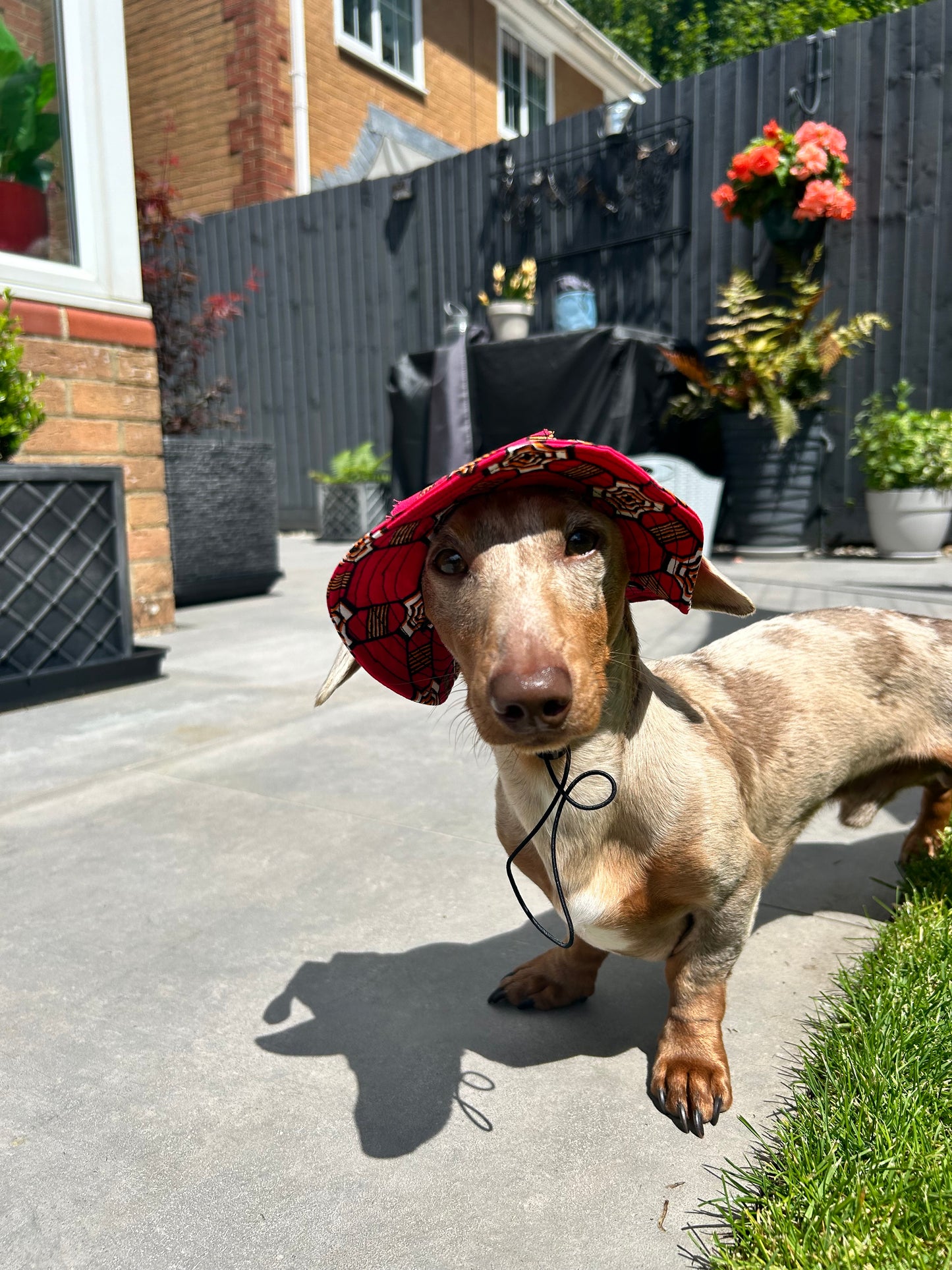 Royal Red Sunhat