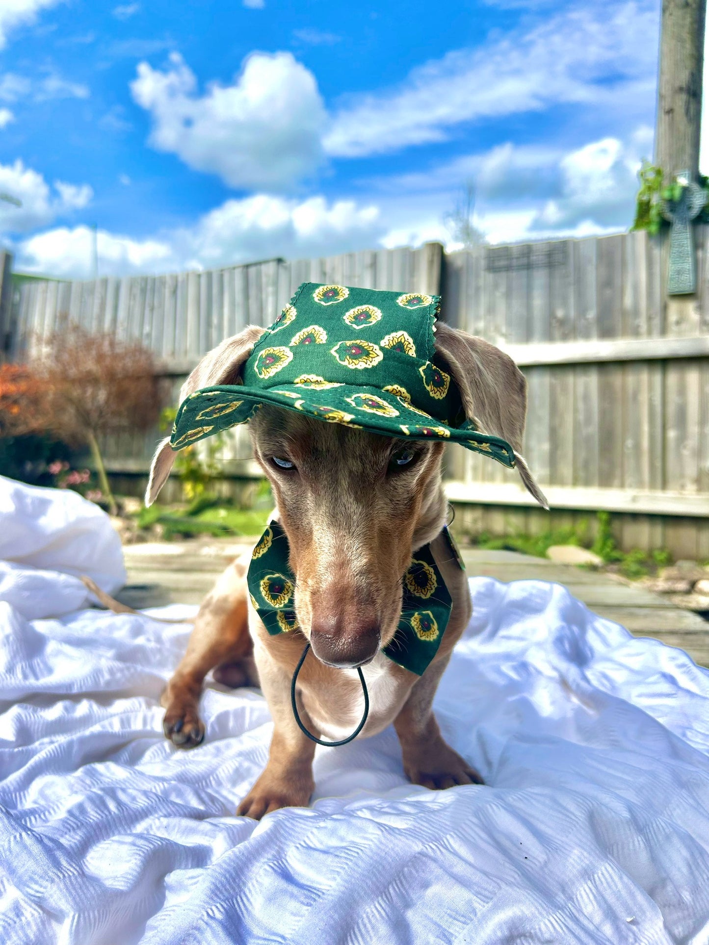 Elegant Emerald Sunhat