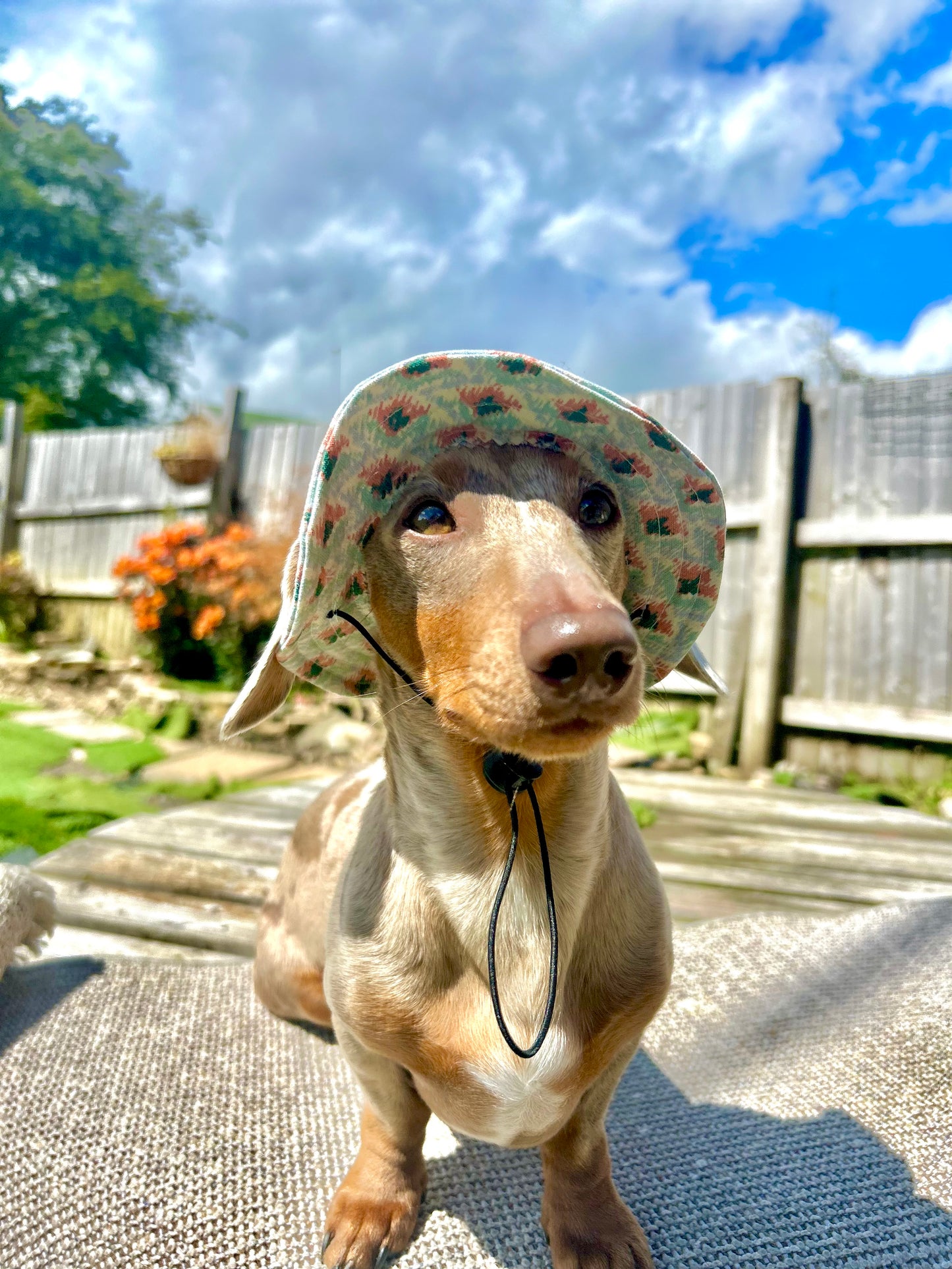 Amulet Sunhat