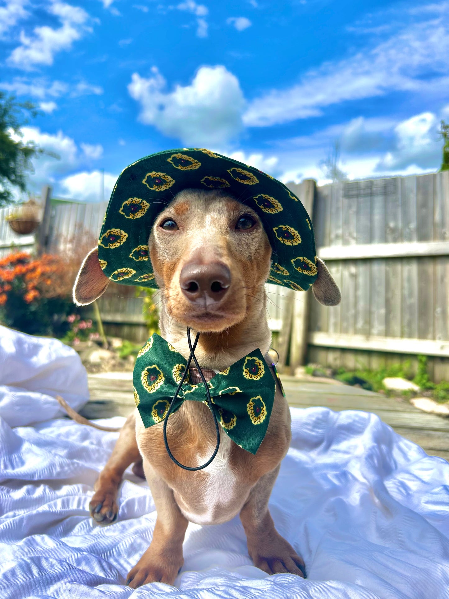 Elegant Emerald Sunhat