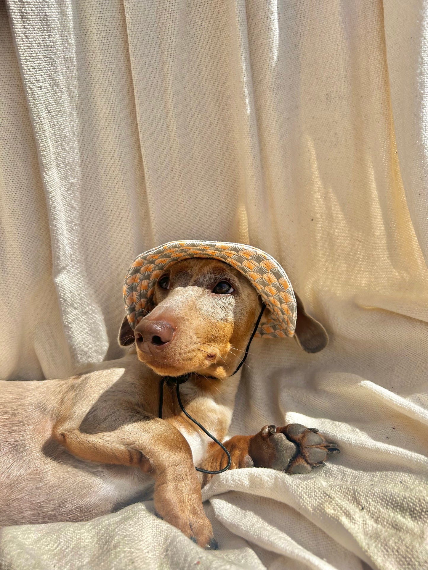 Beach Hut Sunhat