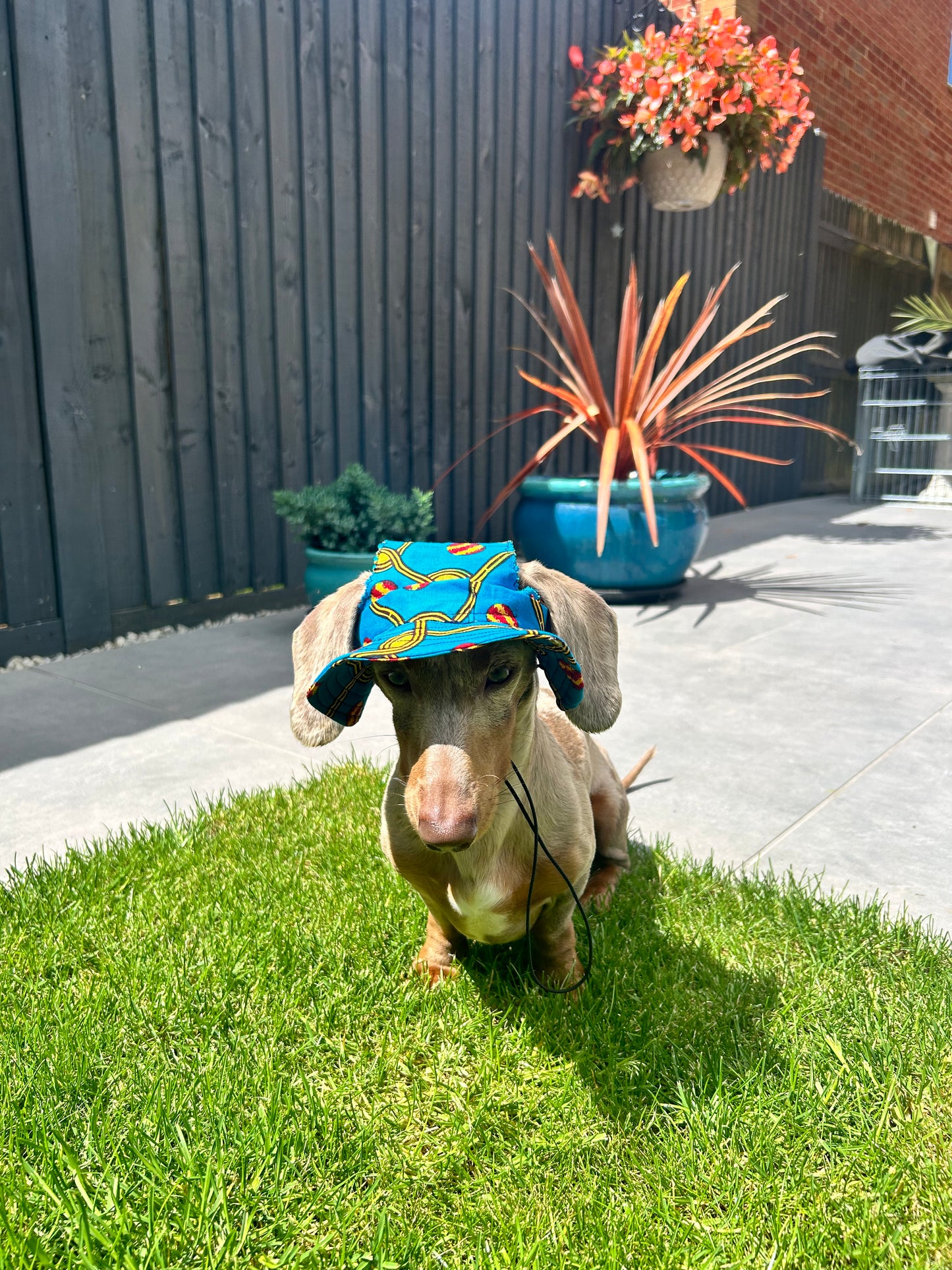 Beach Balls Sunhat