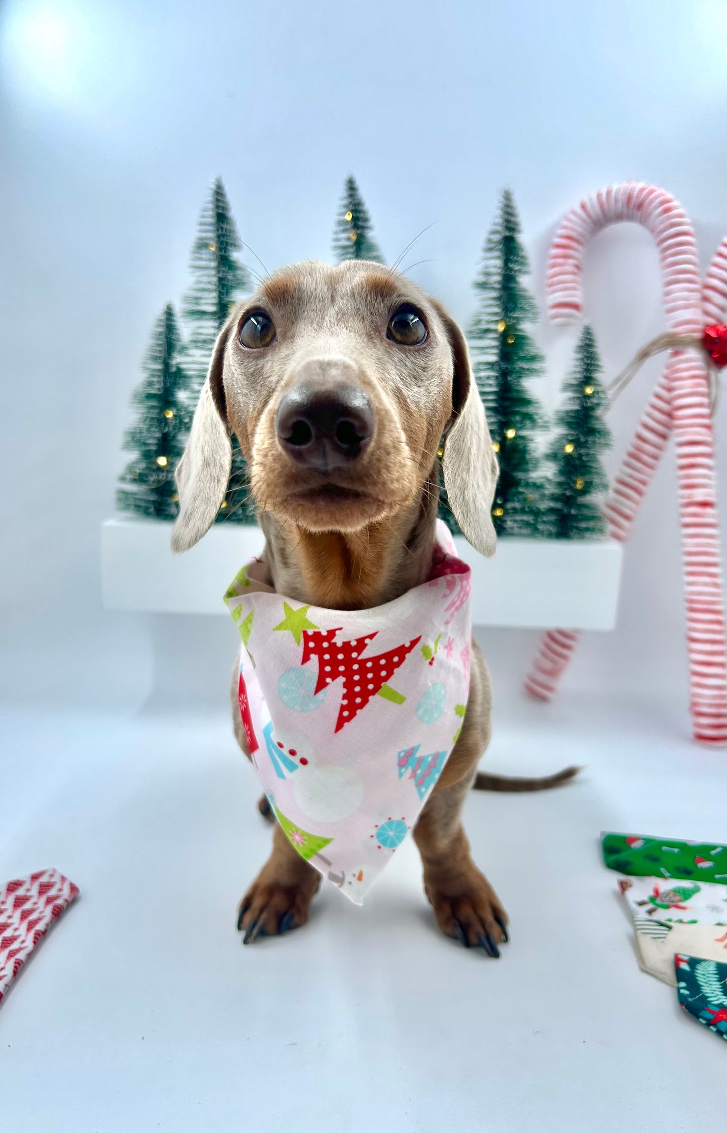 Christmas Bandanas