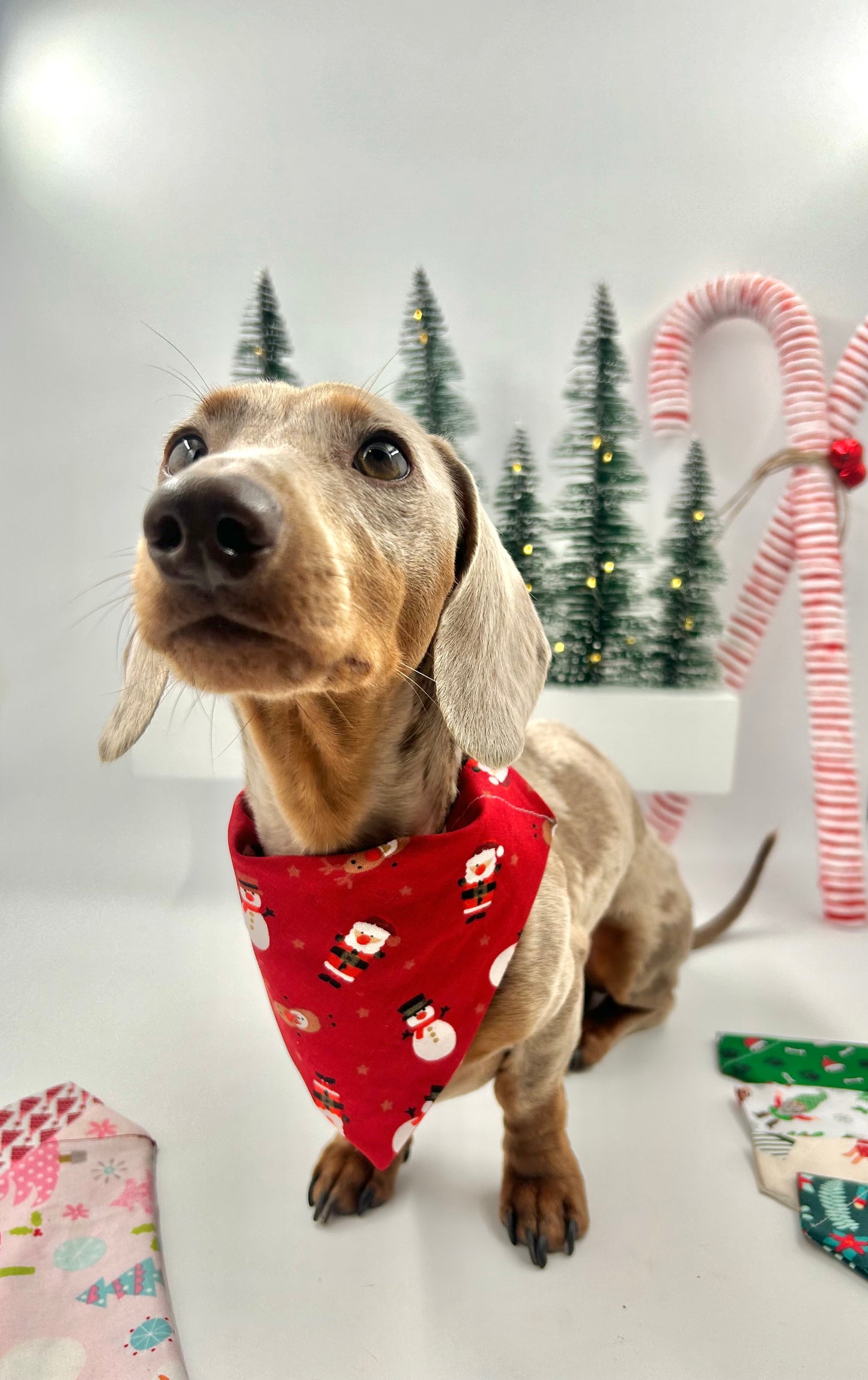 Christmas Bandanas