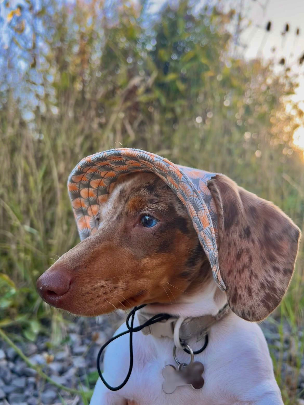 Beach Hut Sunhat