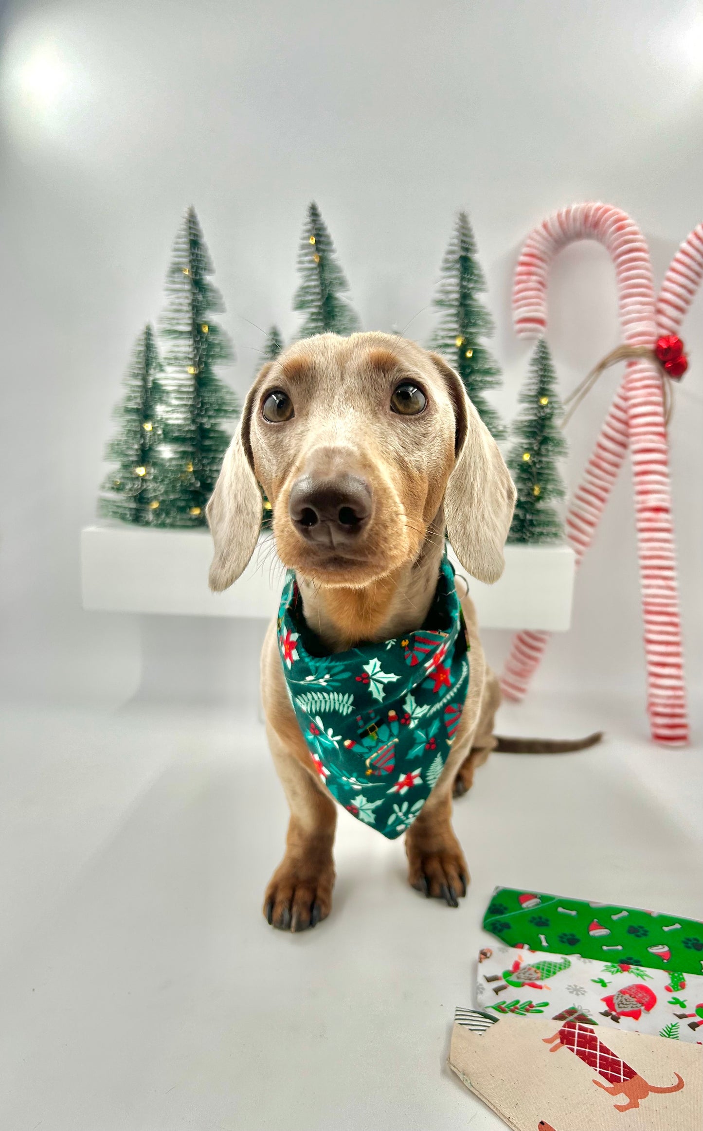 Christmas Bandanas