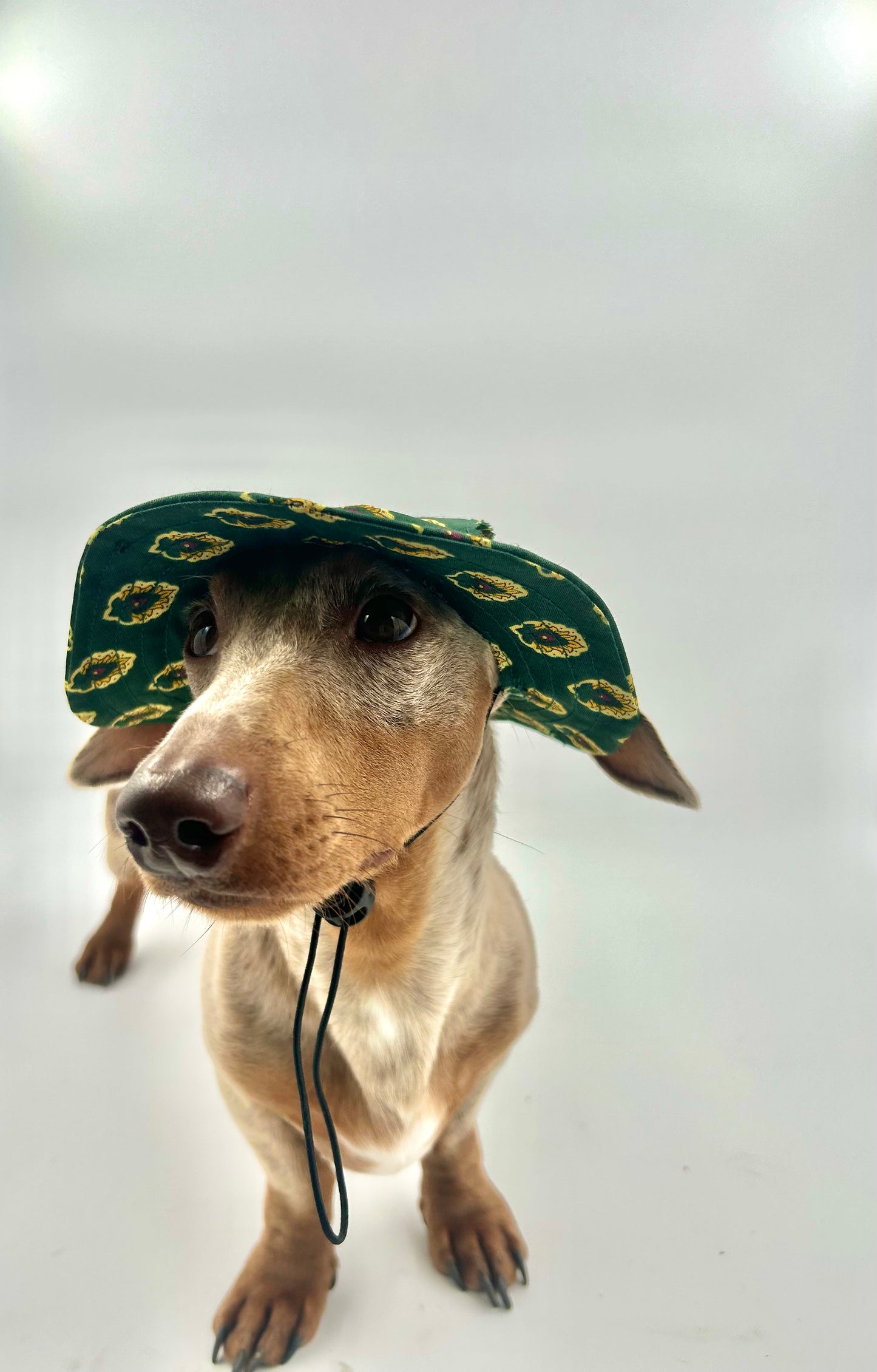 Elegant Emerald Sunhat