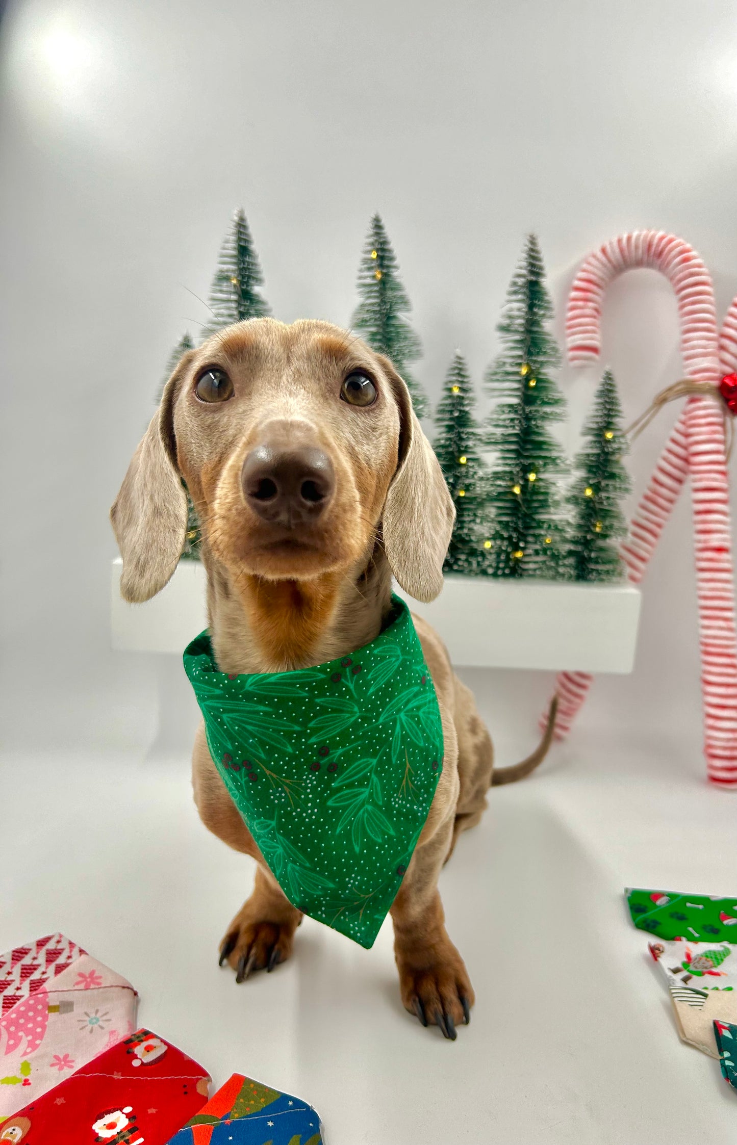 Christmas Bandanas