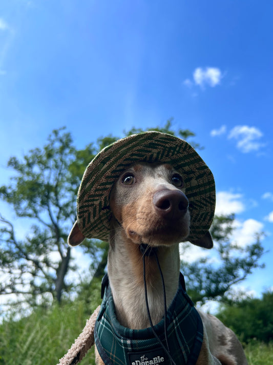 Jungle Party Sunhat