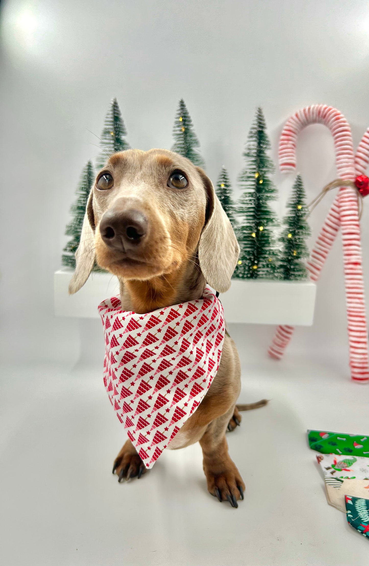 Christmas Bandanas