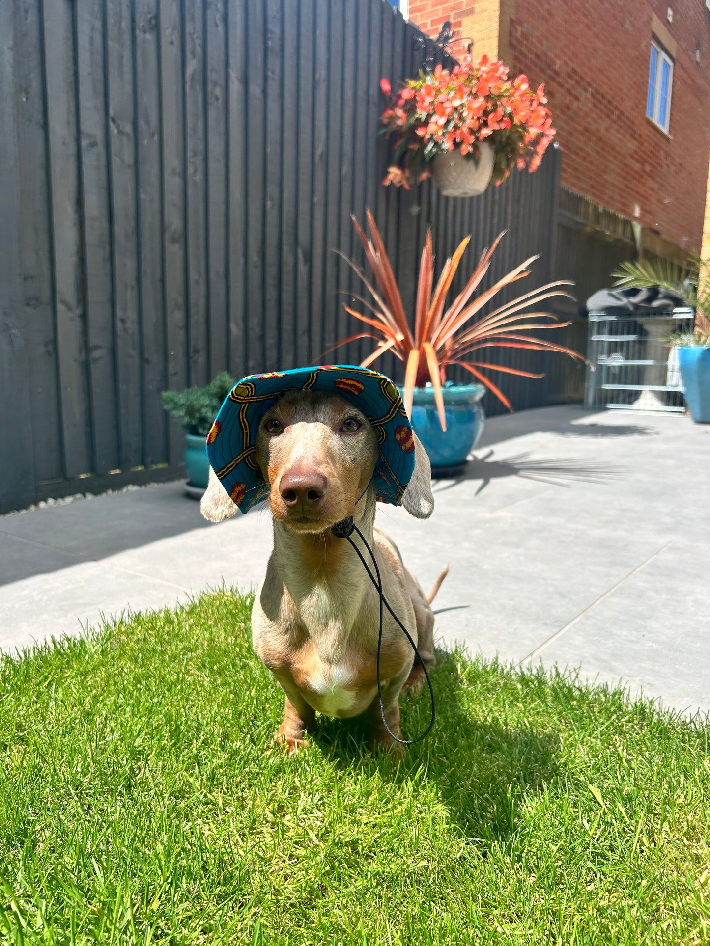 Beach Balls Sunhat