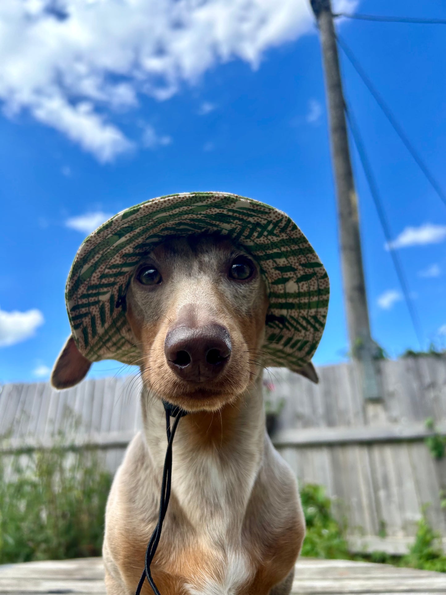 Jungle Party Sunhat