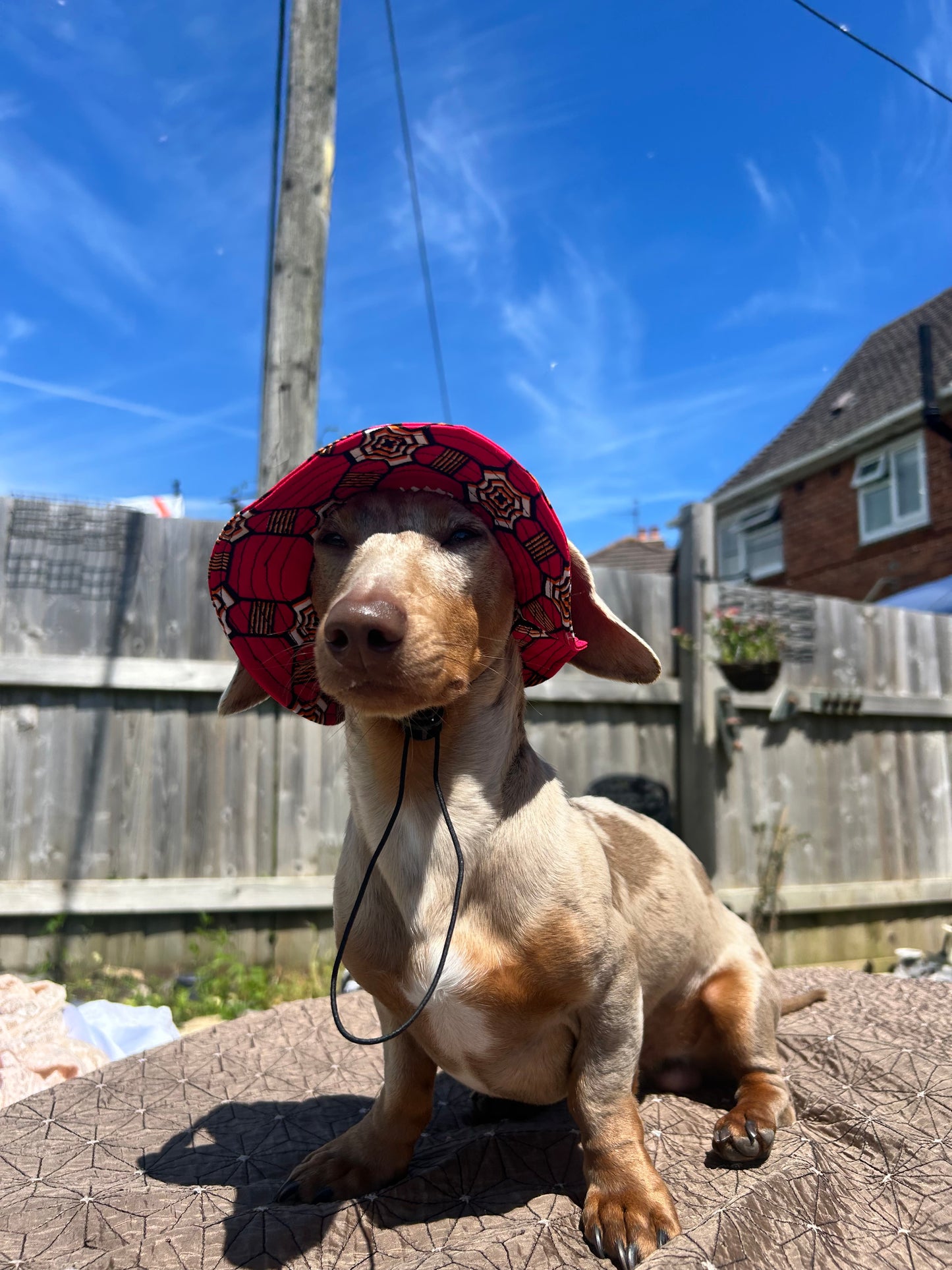 Royal Red Sunhat