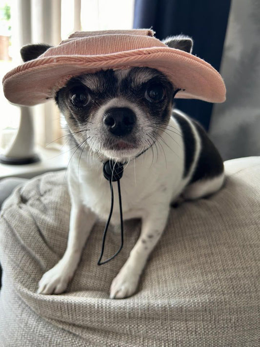 Corduroy Sunhat