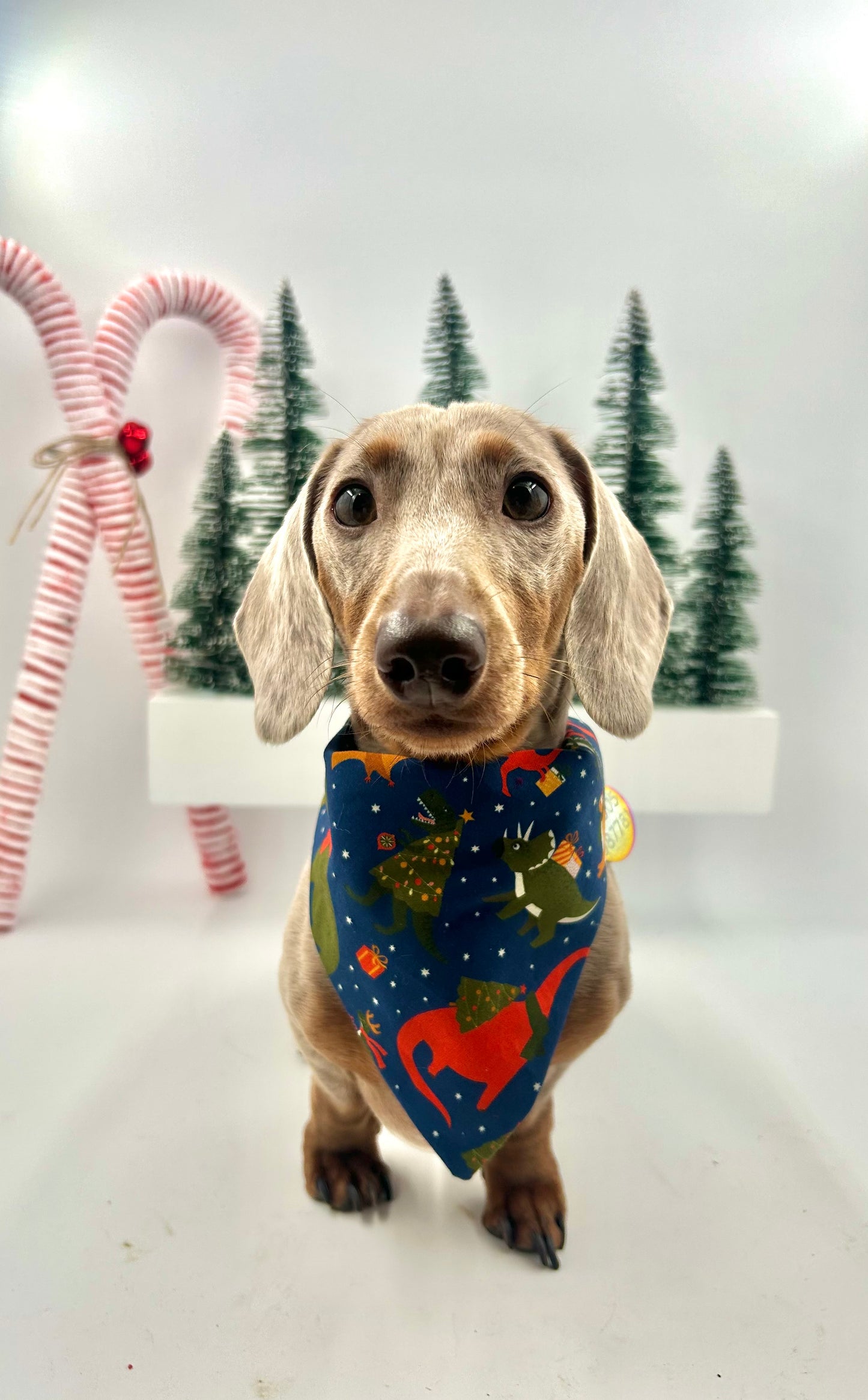 Christmas Bandanas