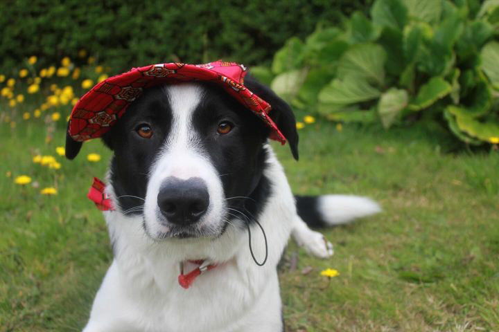 Royal Red Sunhat