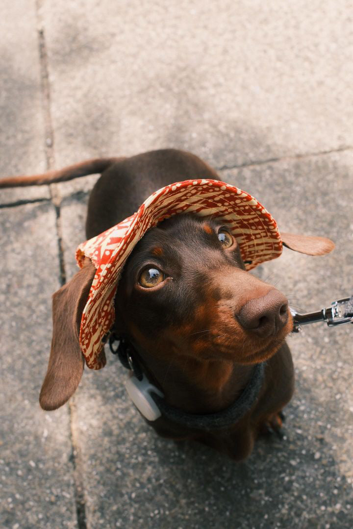 Safari Sand Sunhat