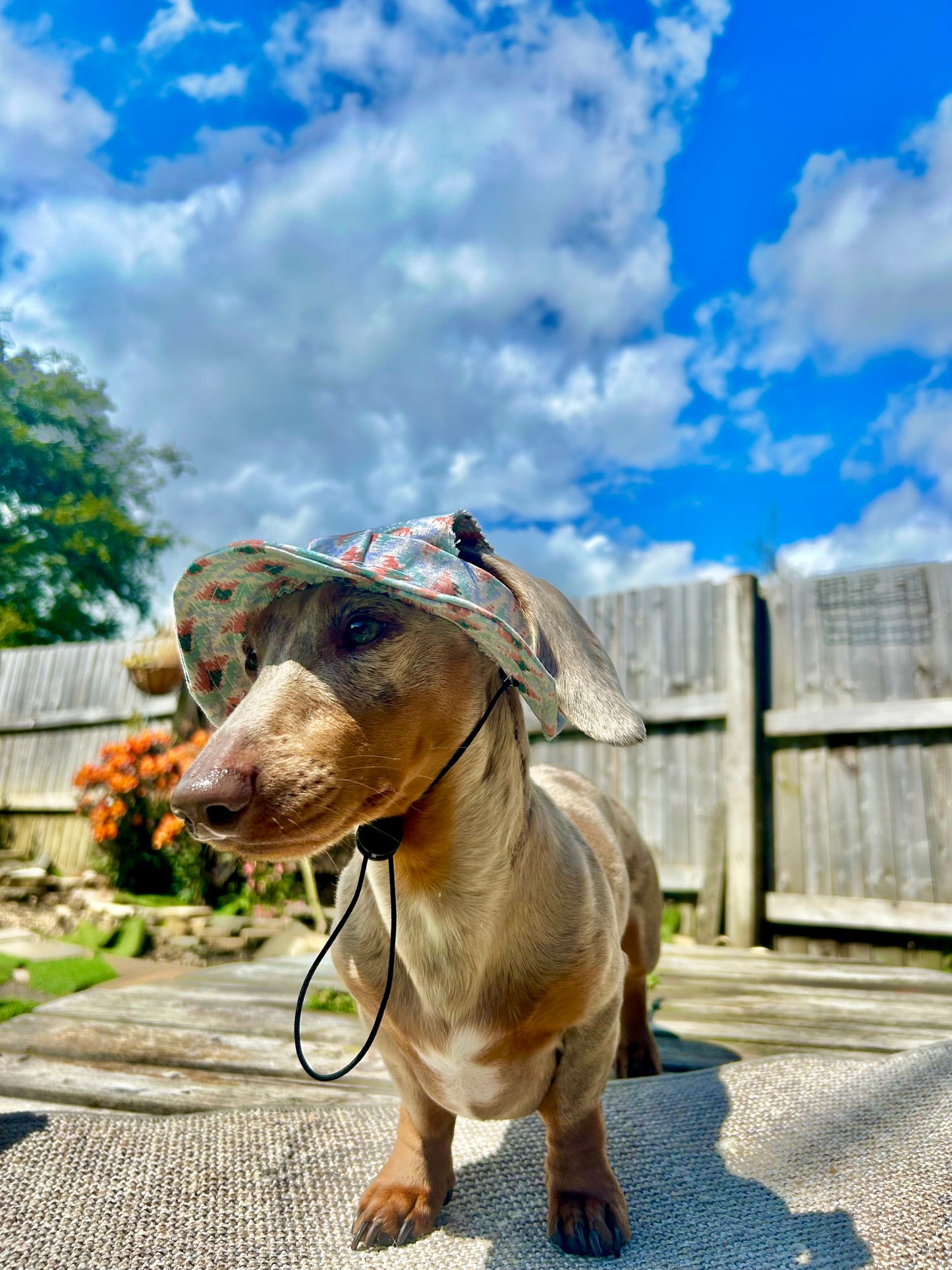 Amulet Sunhat